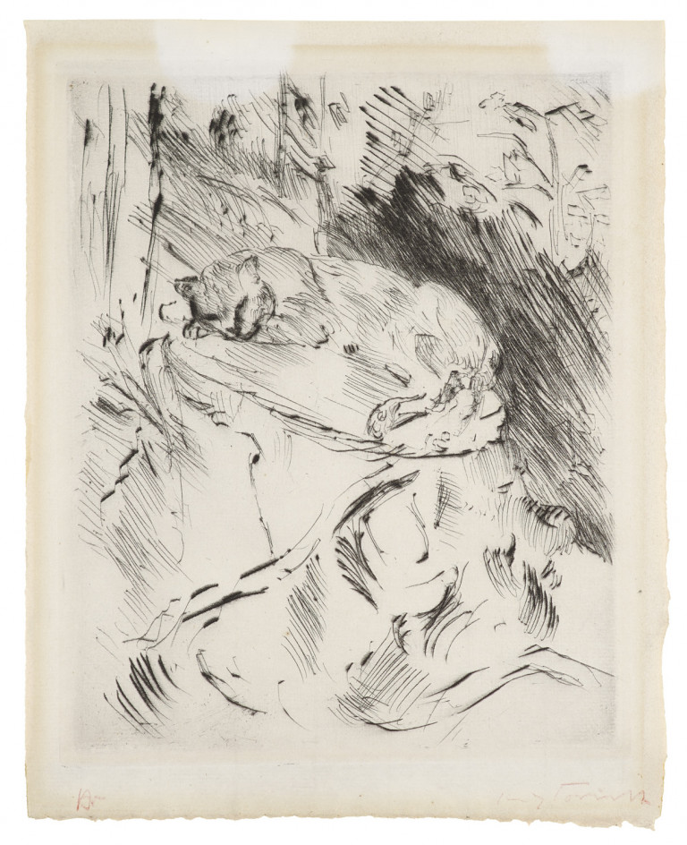Image:
                        Lot 262