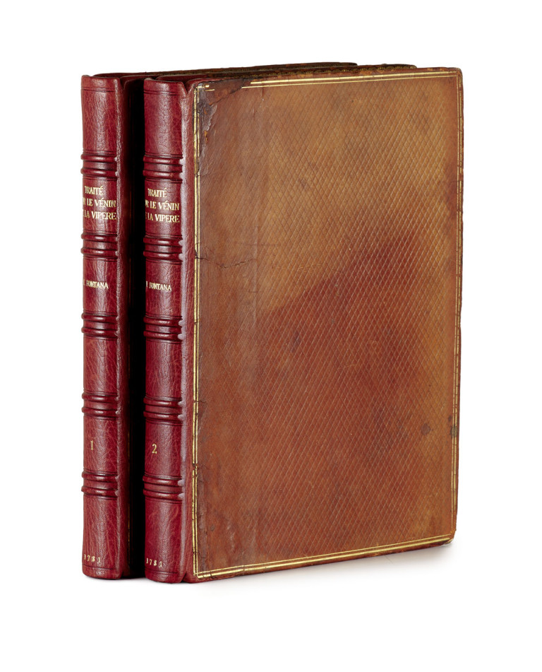 Image:
                        Lot 1610