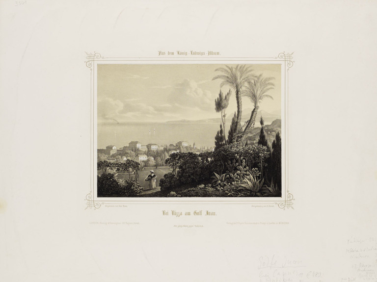Image:
                        Lot 576