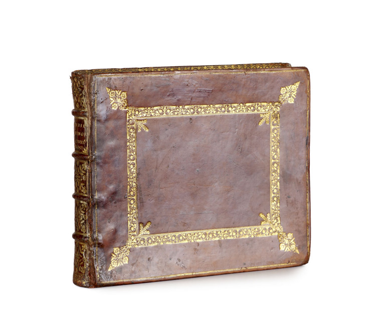Image:
                        Lot 805