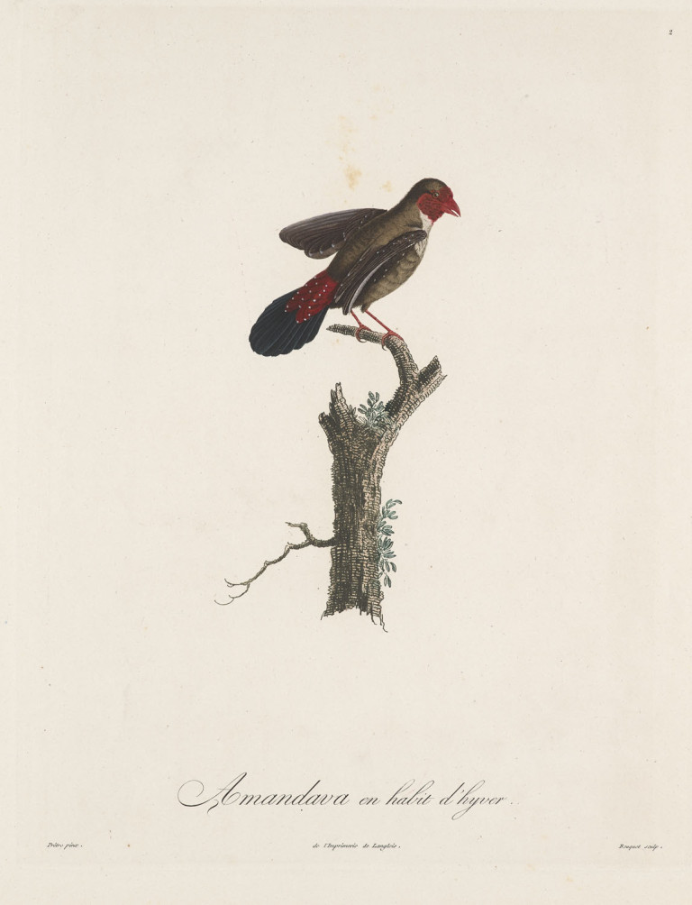 Image: 2