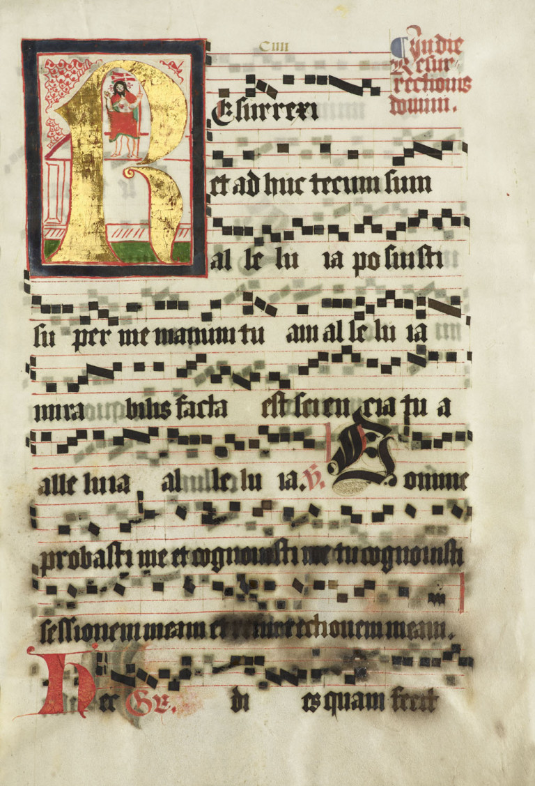 Image:
                        Lot 160
