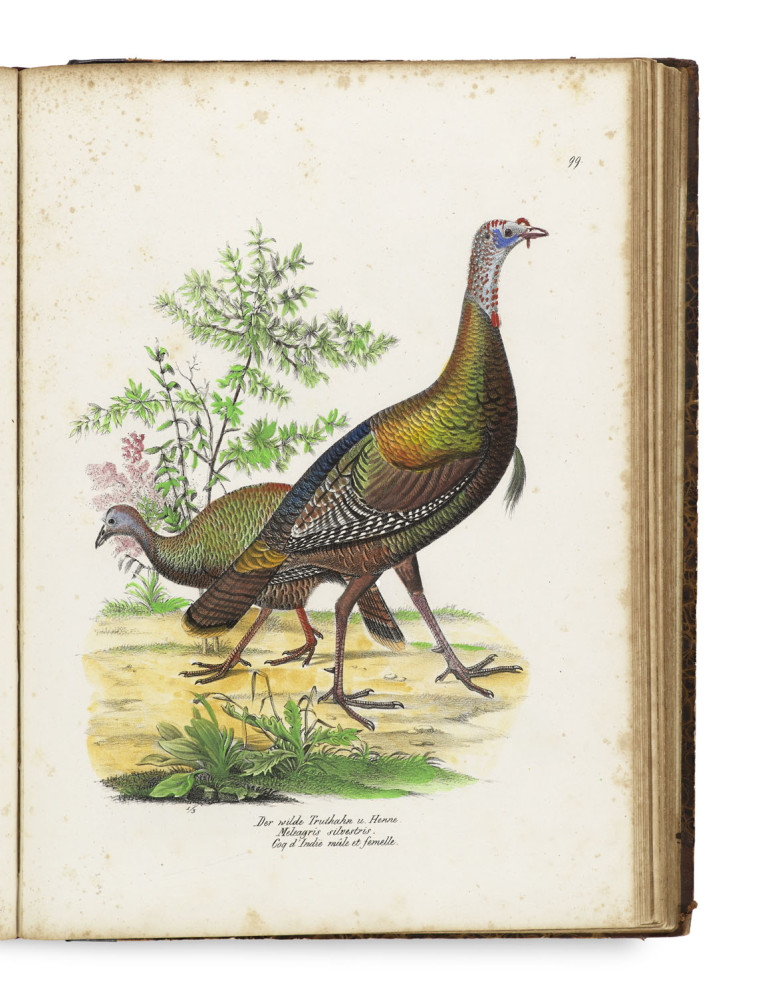 Image:
                        Lot 1632