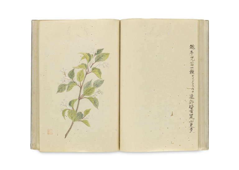Image:
                        Lot 1473