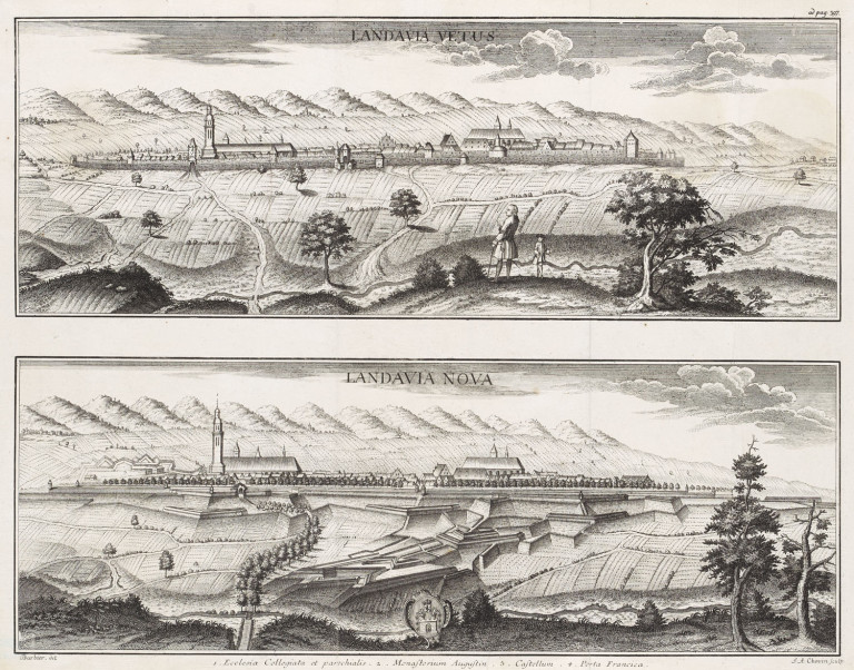 Image:
                        Lot 555