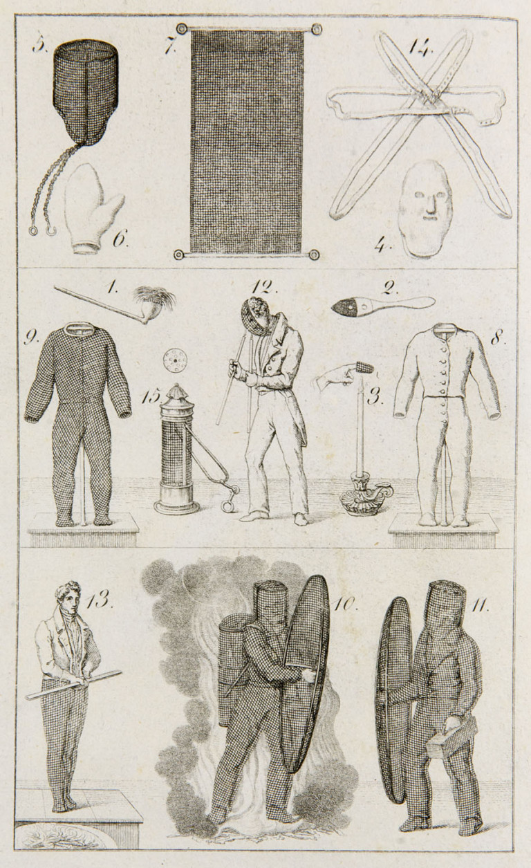 Image:
                        Lot 1643