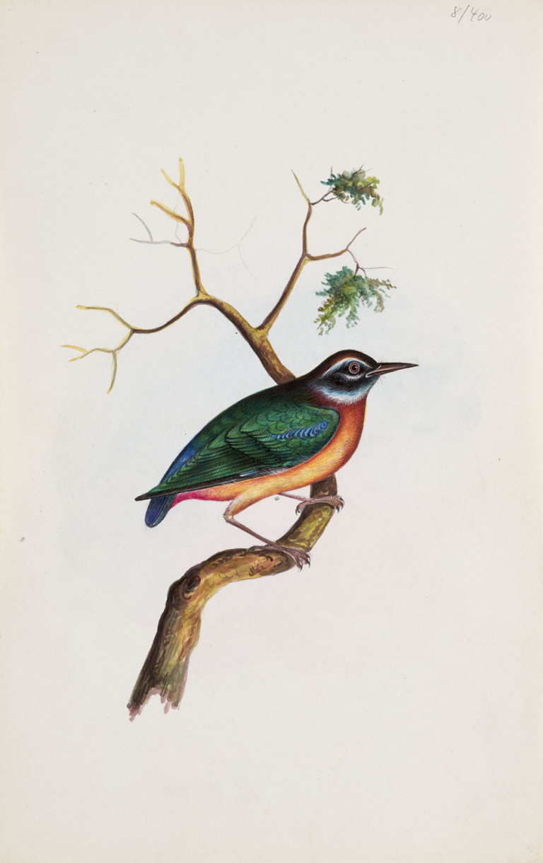 Image: 1