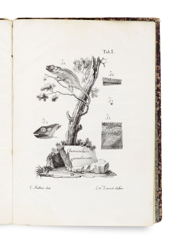 Image:
                        Lot 1598