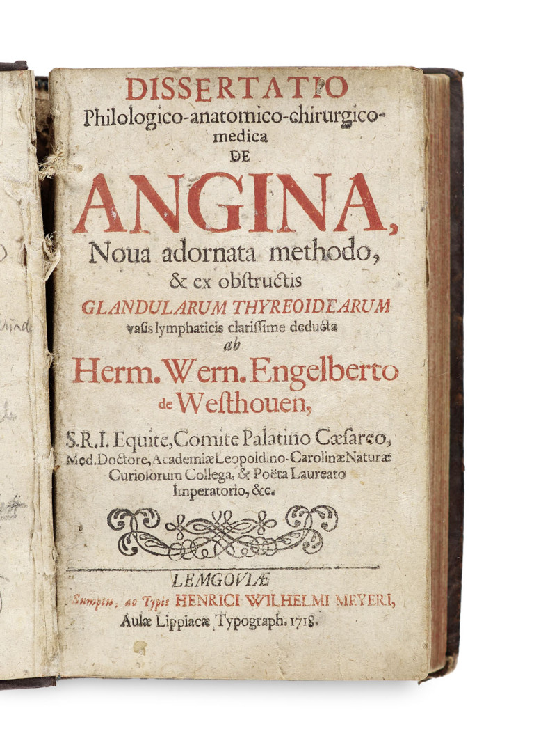 Bild:
                        Los 1564