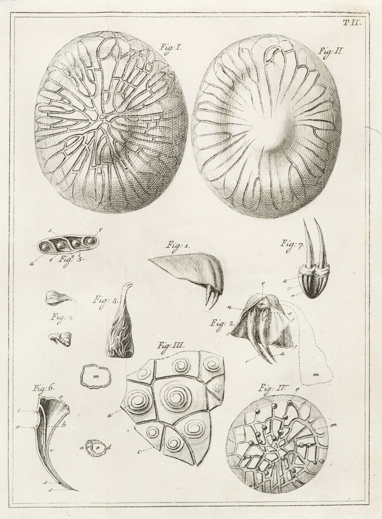 Image: 1