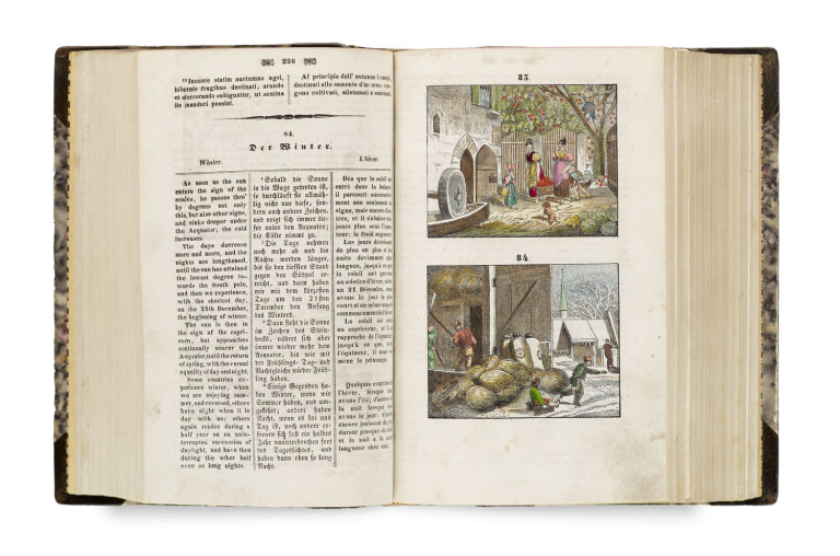 Image:
                        Lot 1363