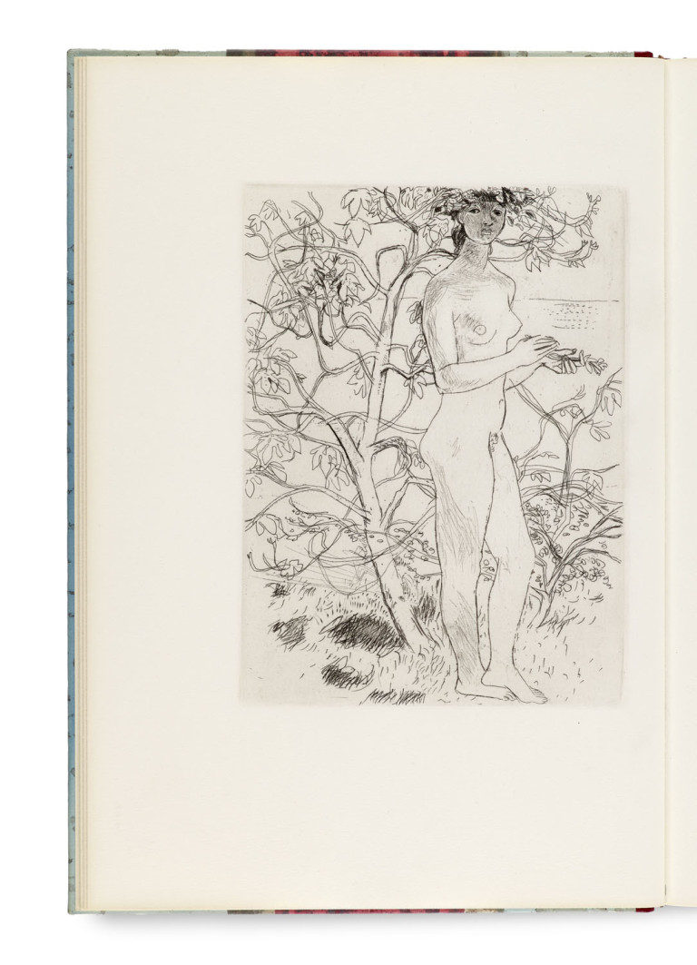 Image:
                        Lot 899