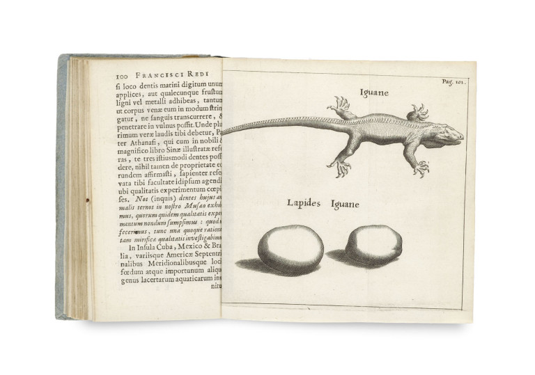 Image:
                        Lot 1612