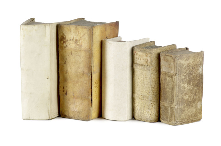 Image:
                        Lot 731