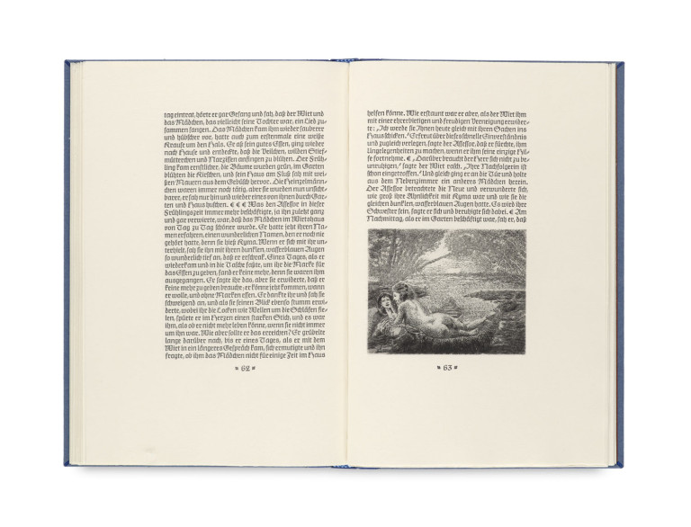 Image:
                        Lot 919