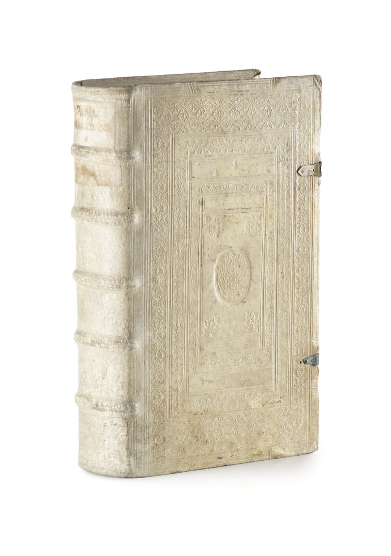 Image:
                        Lot 733