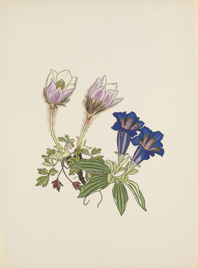Image: 2