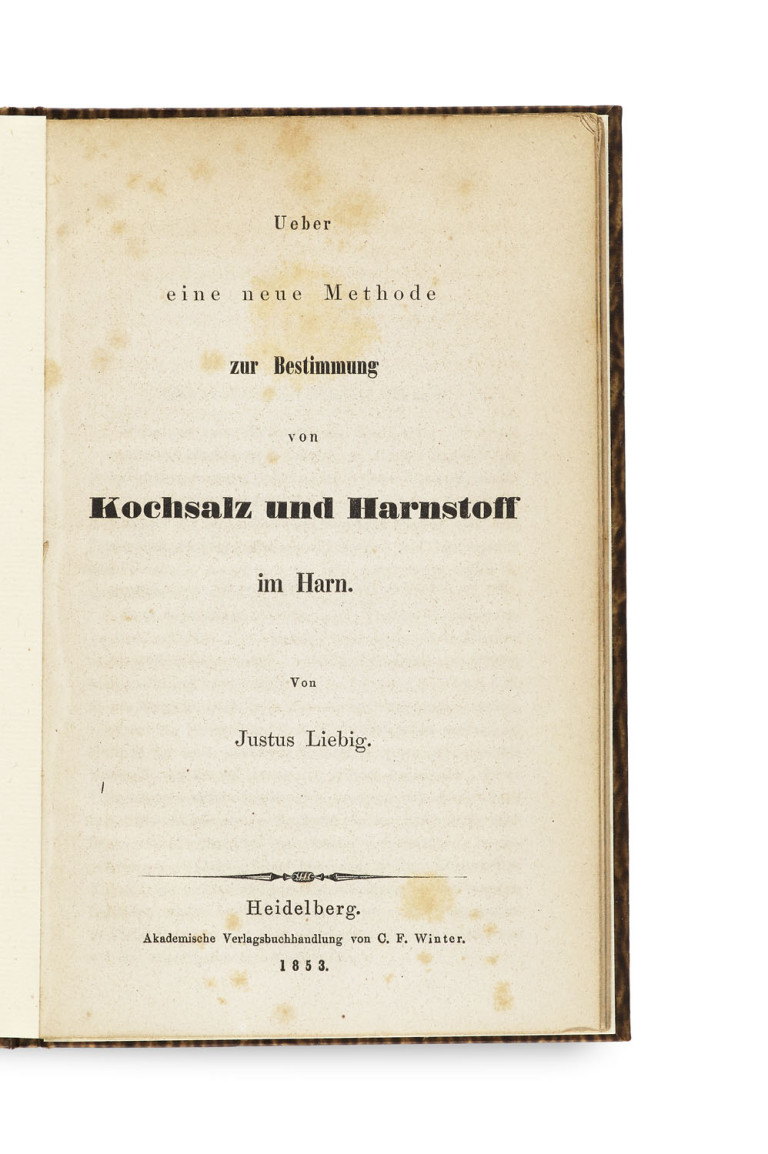 Bild:
                        Los 1555
