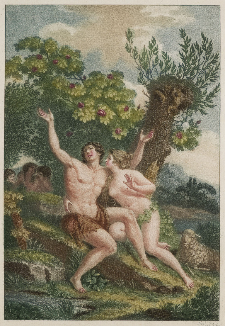 Image:
                        Lot 775