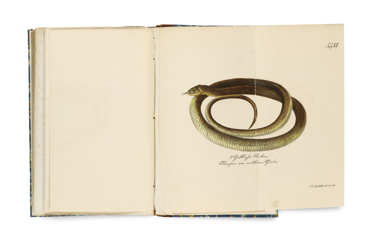 Image:
                        Lot 1593