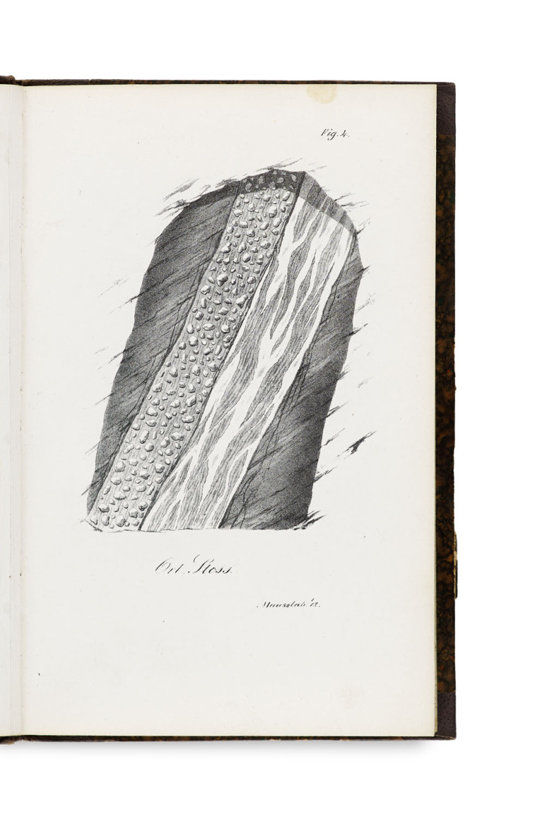 Image:
                        Lot 1497
