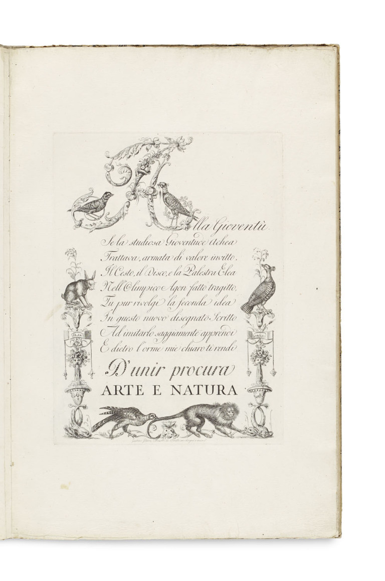 Image:
                        Lot 820