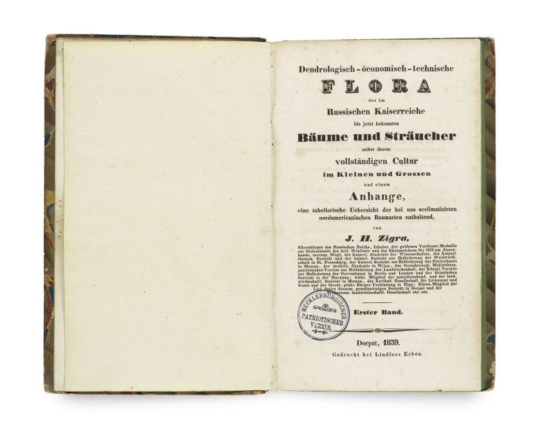 Bild:
                        Los 1481