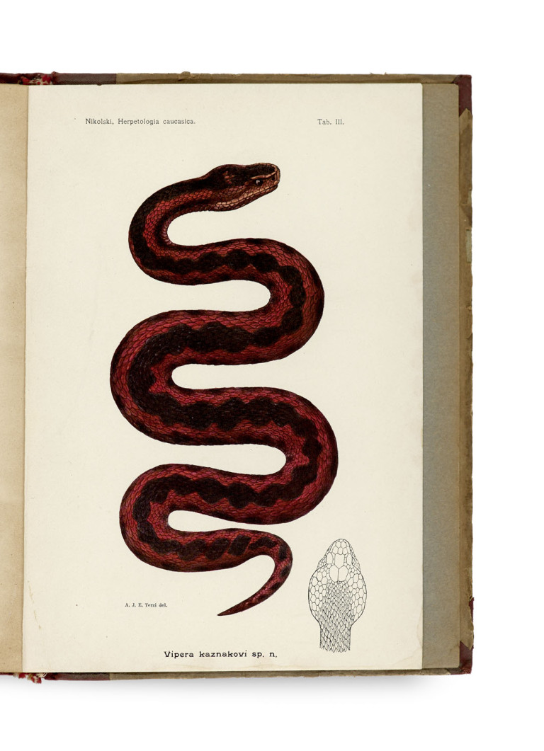 Image:
                        Lot 1596
