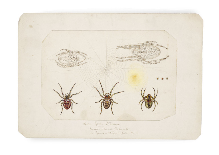Image:
                        Lot 1640