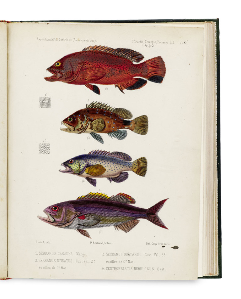 Image:
                        Lot 1615