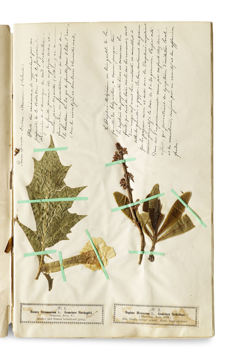 Image:
                        Lot 1478