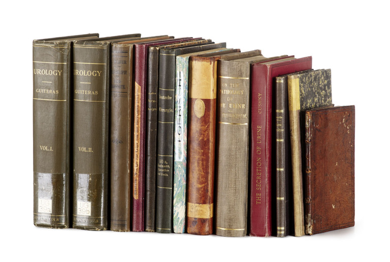 Image:
                        Lot 1560