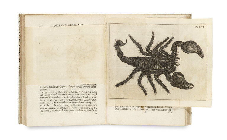 Bild:
                        Los 1588