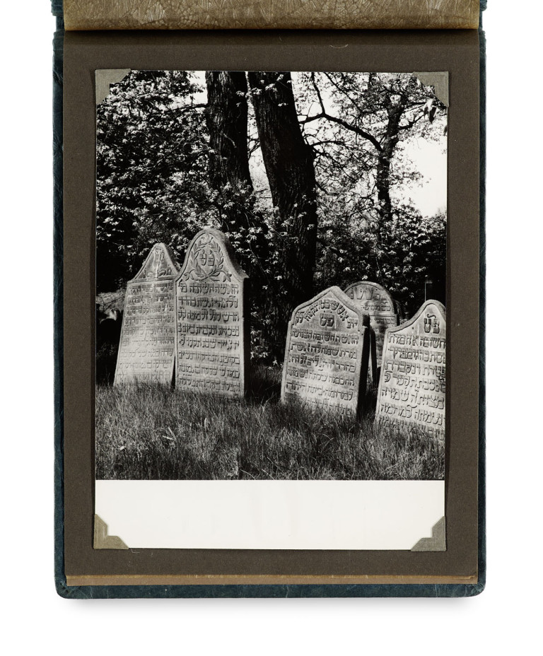 Image:
                        Lot 1411