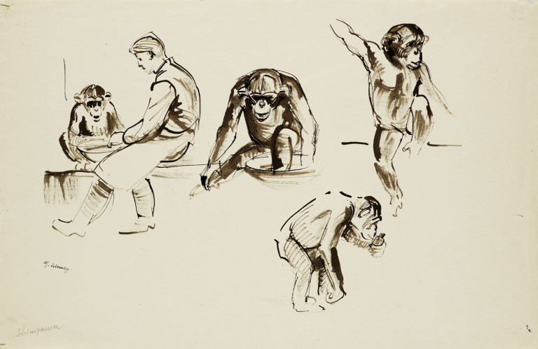 Image:
                        Lot 1638