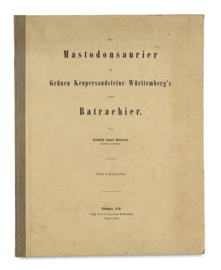 Image: 2