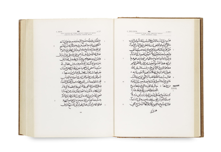 Image:
                        Lot 42
