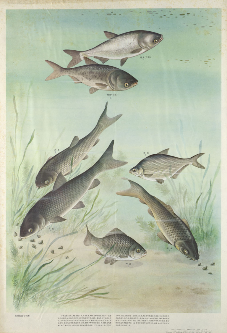 Image: 1