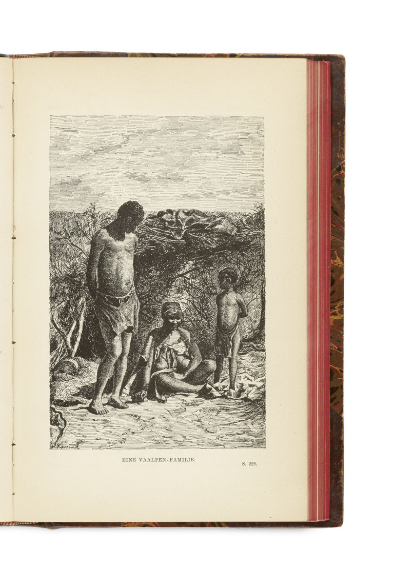 Image:
                        Lot 344