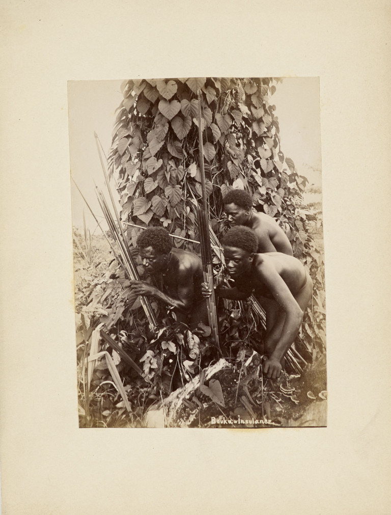 Image: 2