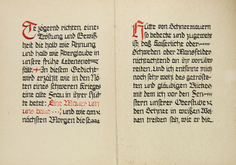 Image:
                        Lot 110