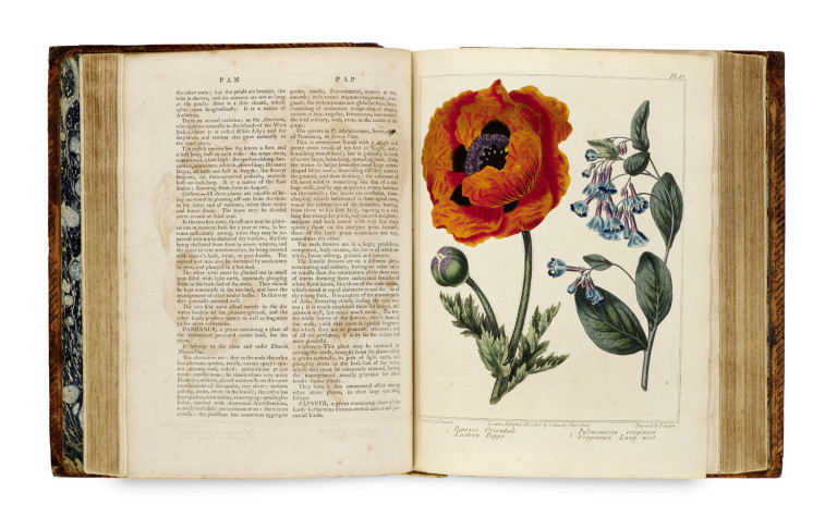 Image:
                        Lot 1474