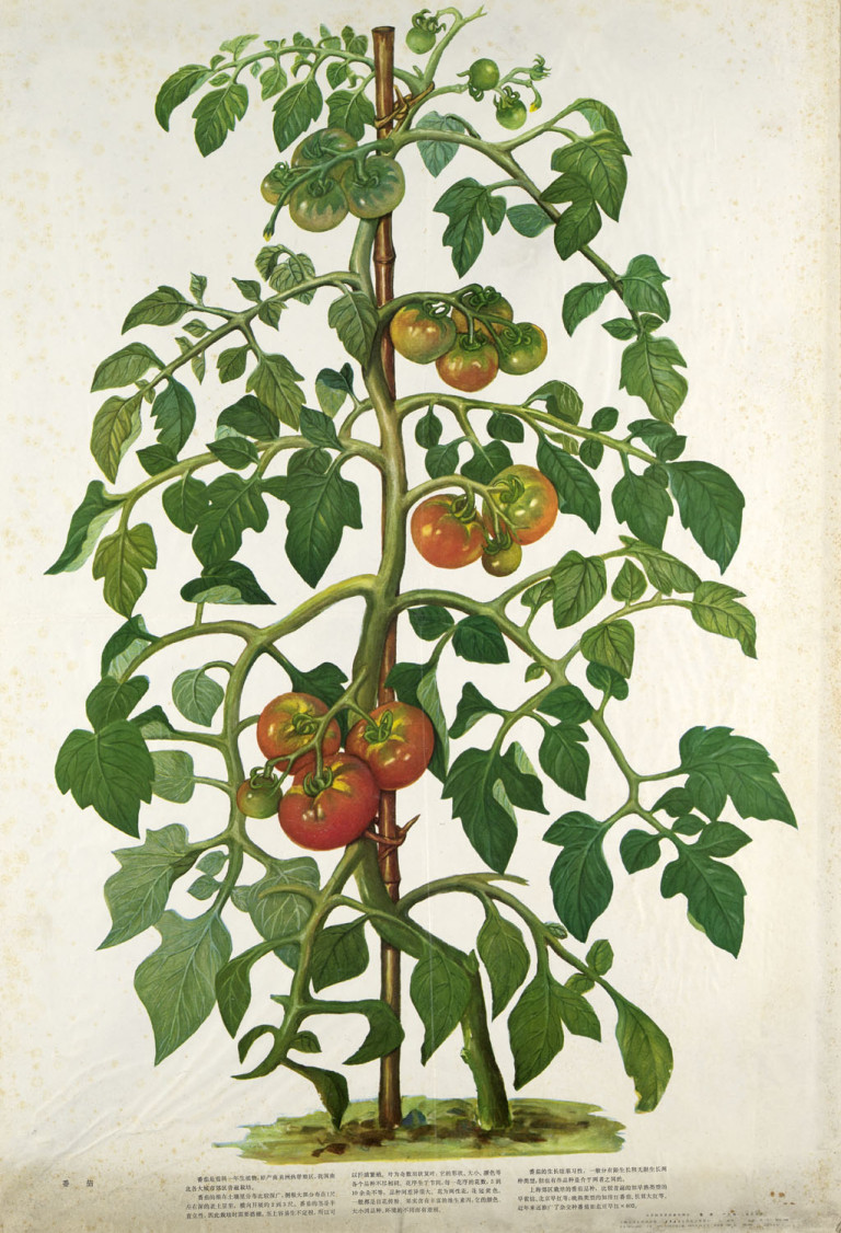 Image:
                        Lot 392