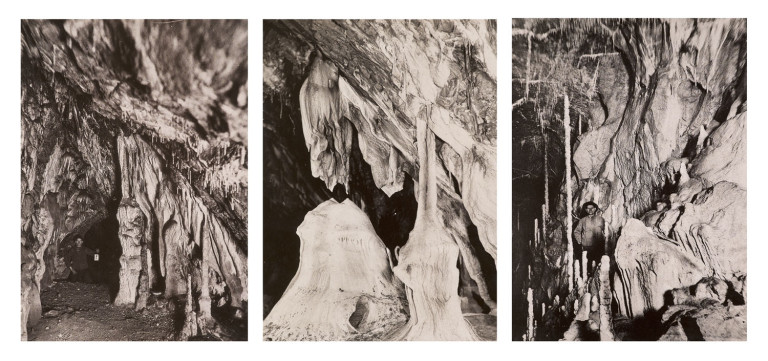 Image:
                        Lot 1492