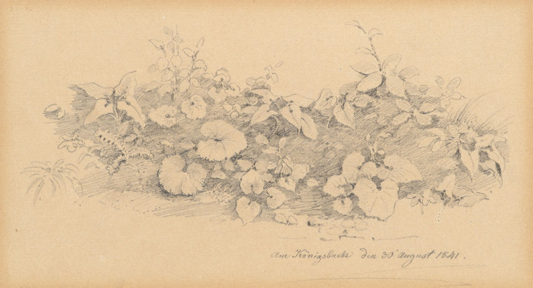 Image:
                        Lot 1482