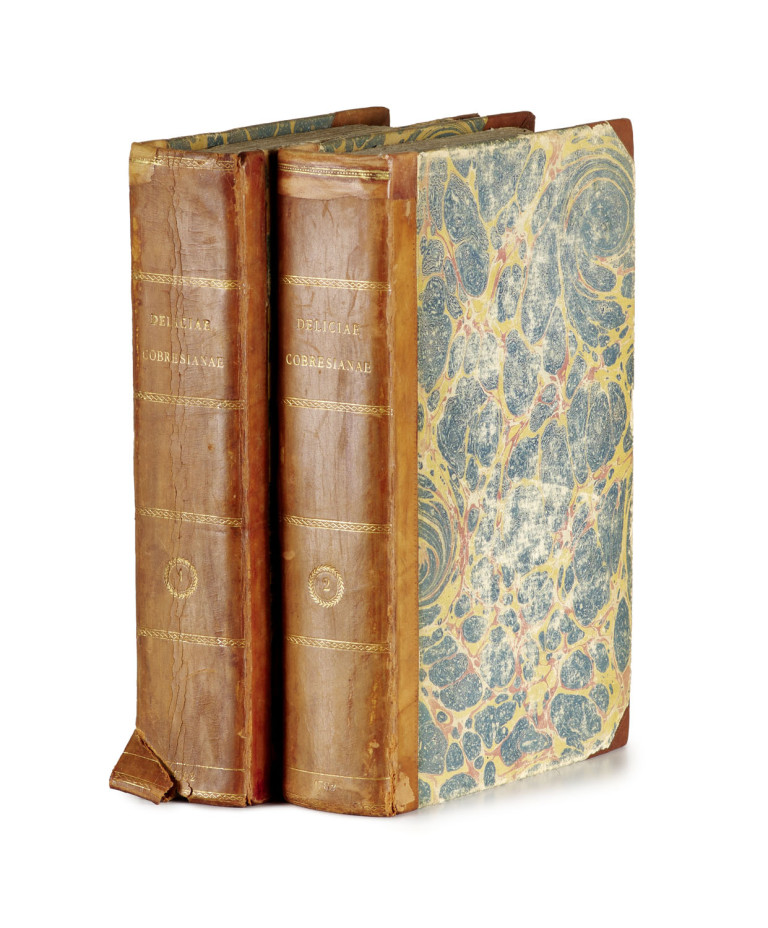 Image:
                        Lot 1570