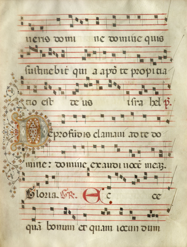Image:
                        Lot 155