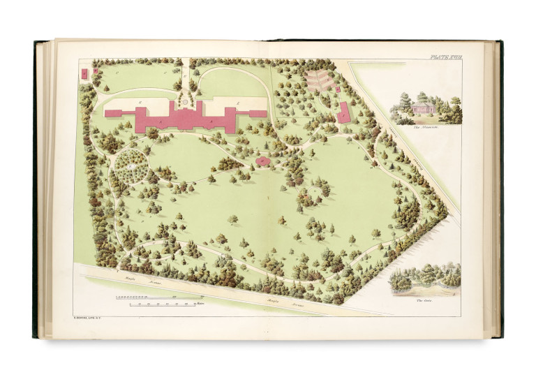 Image: 1