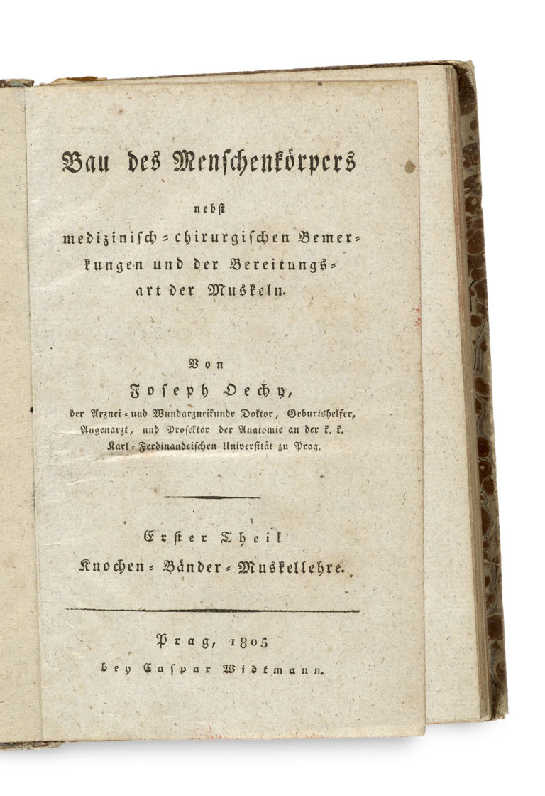 Bild:
                        Los 1528