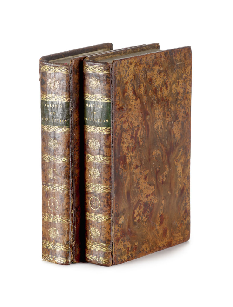 Image:
                        Lot 337